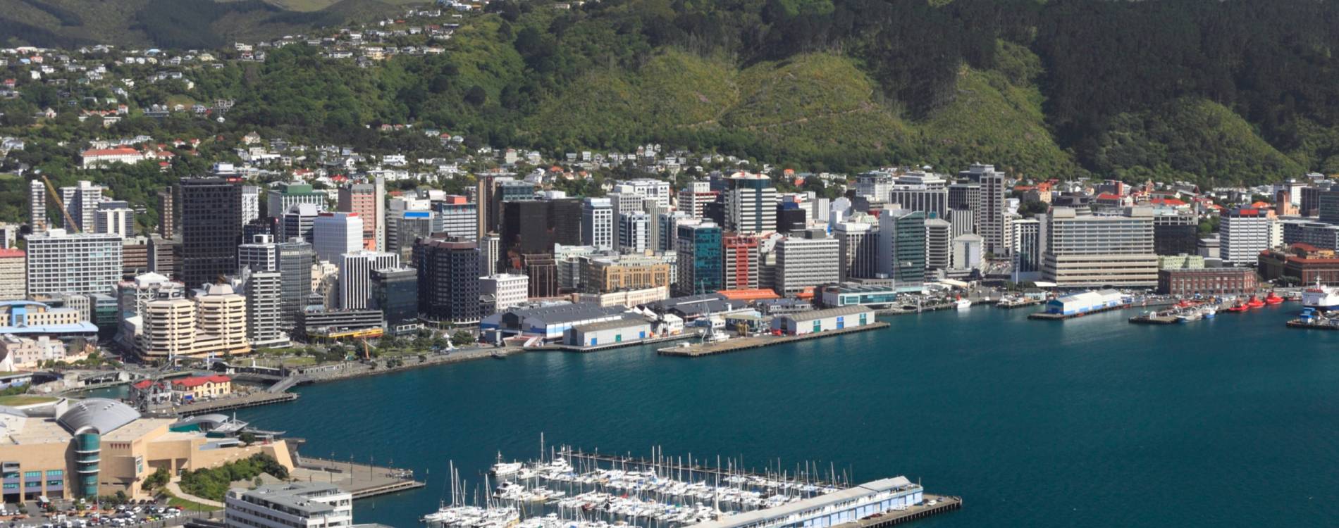 Wellington skyline