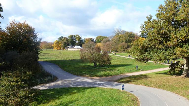 Westonbirt Arboretum
