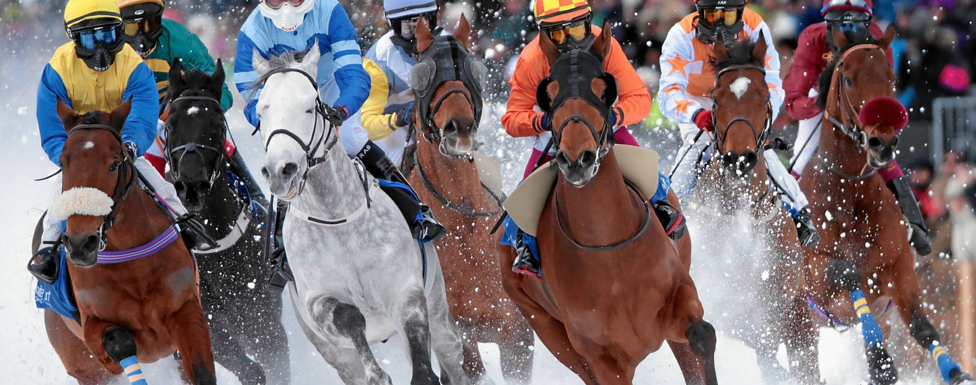 White Turf St. Moritz