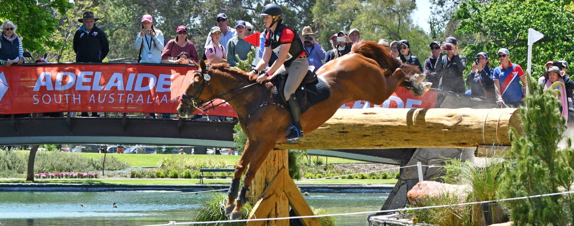 Adelaide Equestrian Festival (Australian International 3Day Event