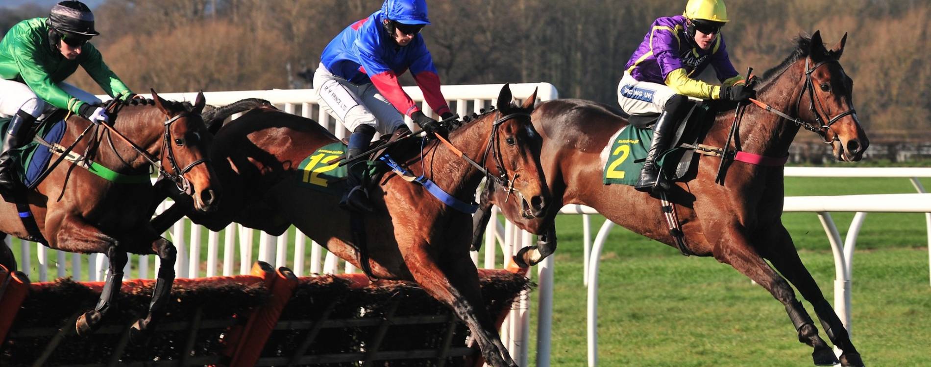 Wincanton jumps