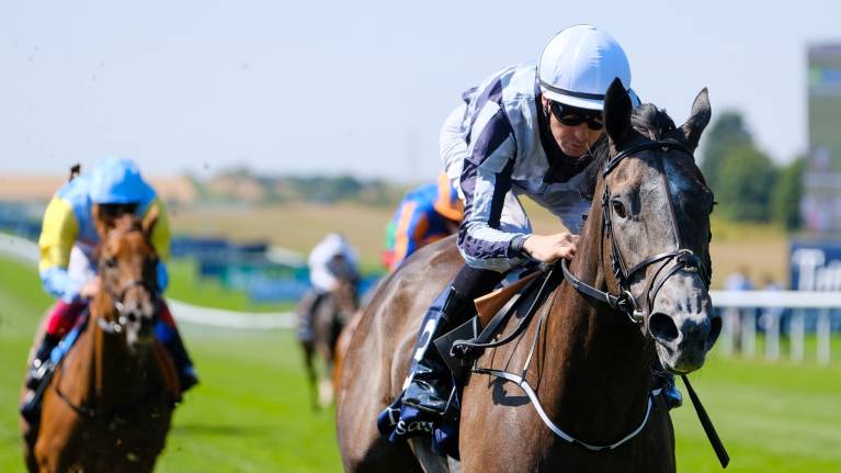 CopyBet Two Year Old Day