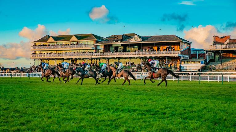 Coral Christmas Raceday