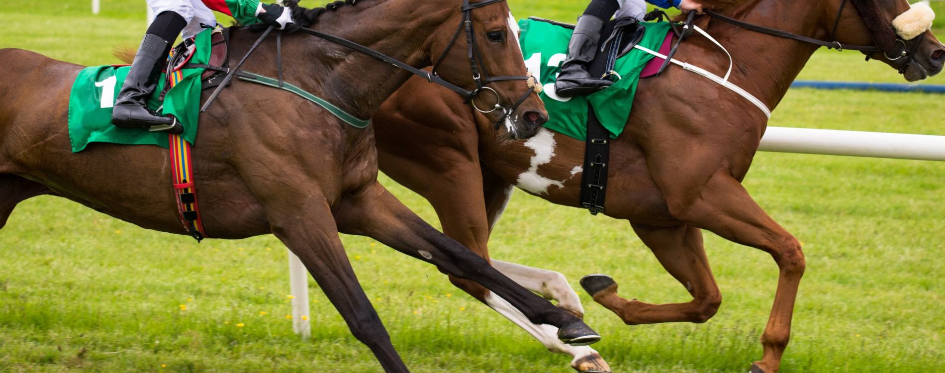 Winx