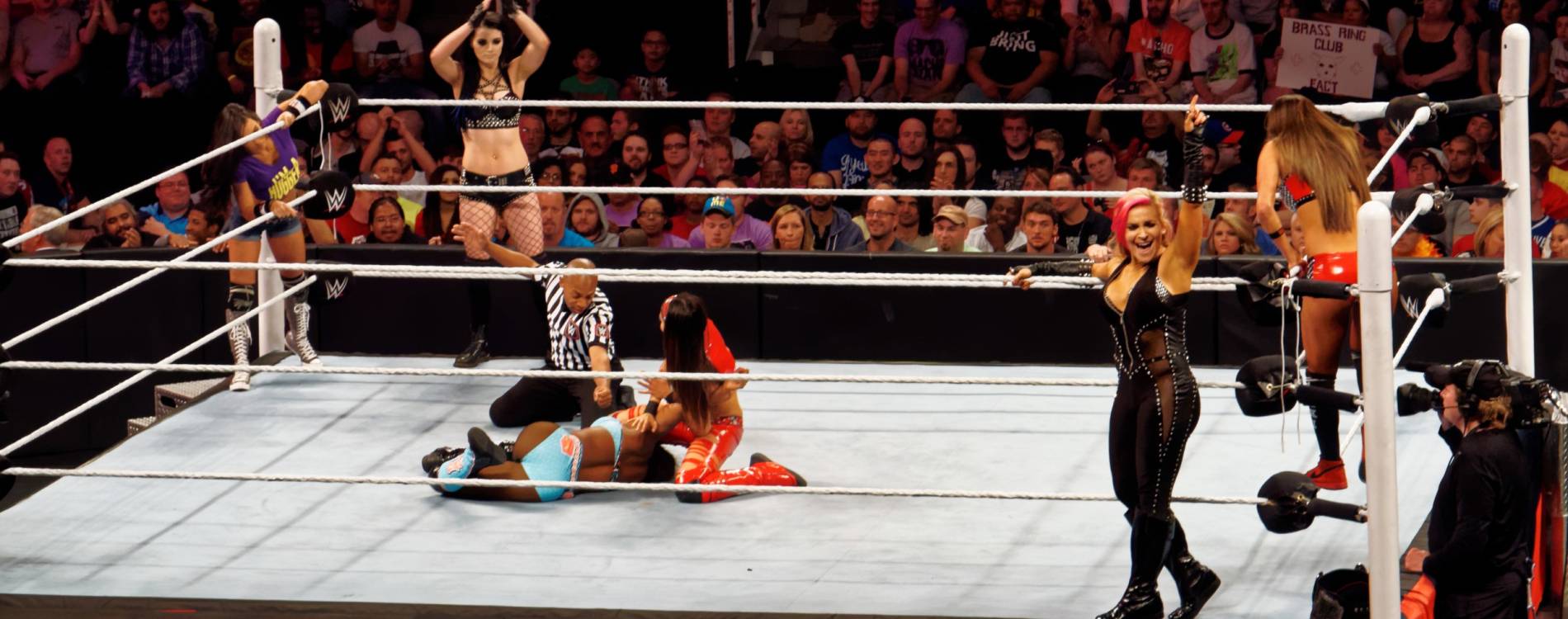 WWE superstars in action